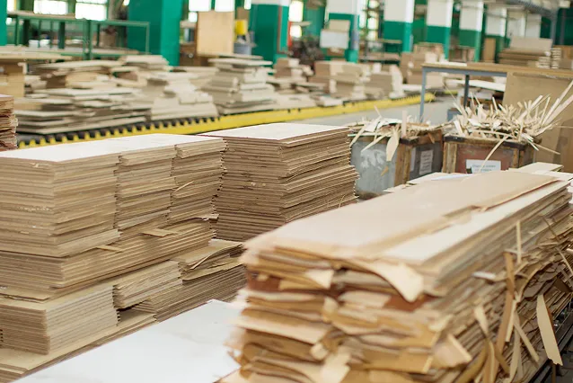 Cardboard & Paper