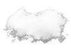 image 28834